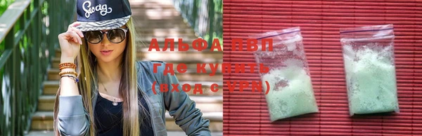 СК Алексин