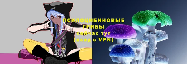 СК Алексин