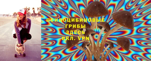 СК Алексин