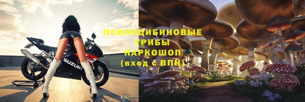 СК Алексин