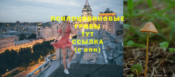 СК Алексин